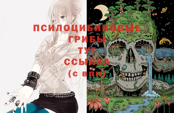тгк Корсаков