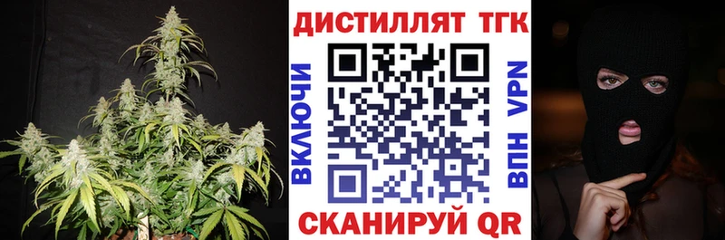 ТГК вейп с тгк  Купить где  Городовиковск 