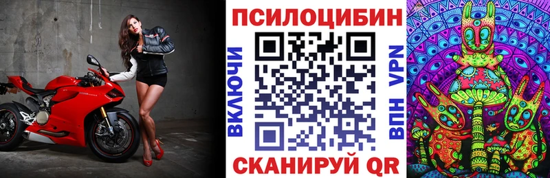 Галлюциногенные грибы MAGIC MUSHROOMS  Купить  Городовиковск 